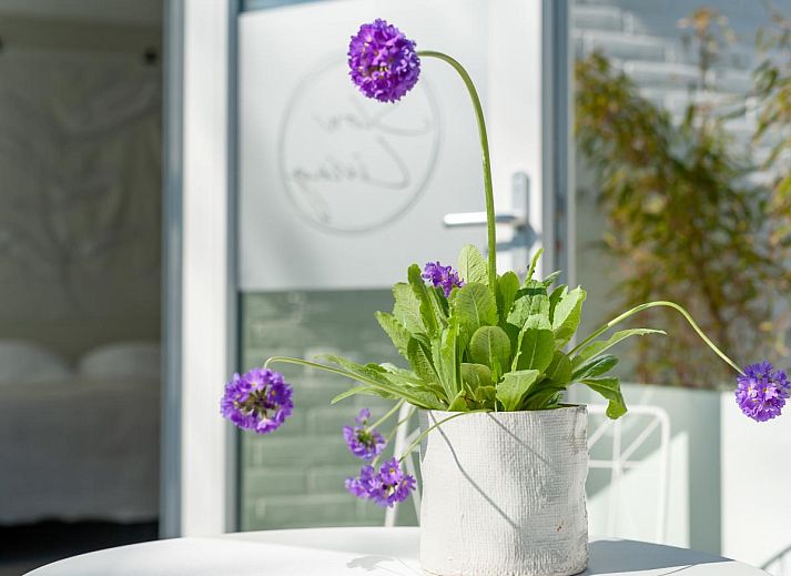 Verblijf 6202183 - Vakantiewoning Walcheren - Duinsuite