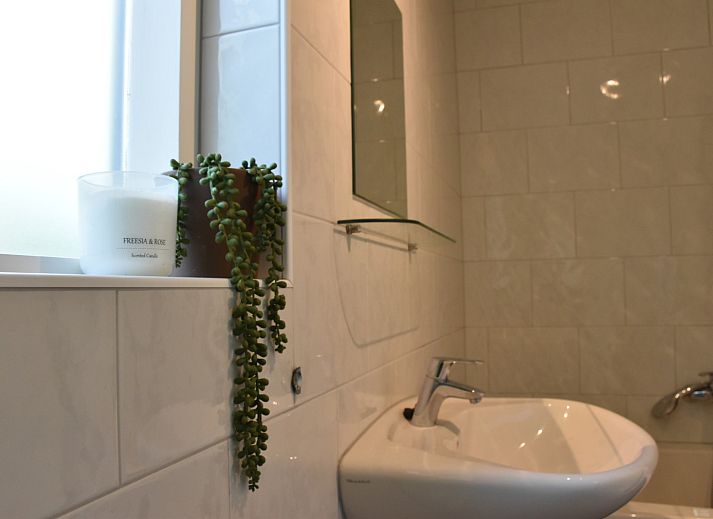 Guest house 6202184 - Holiday property Walcheren - ZE1732