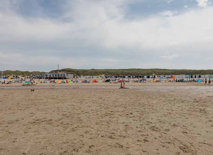 Guest house 6202184 - Holiday property Walcheren - ZE1732