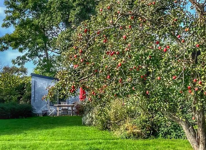 Huisje in Oostkapelle omringd door bomen in Walcheren, Zeeland.
