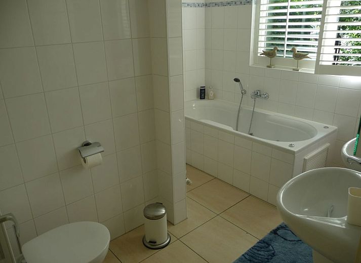 Unterkunft 6202197 - Ferienhaus Walcheren - 12084