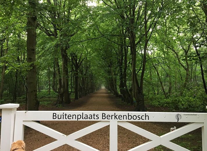 Unterkunft 6202197 - Ferienhaus Walcheren - 12084