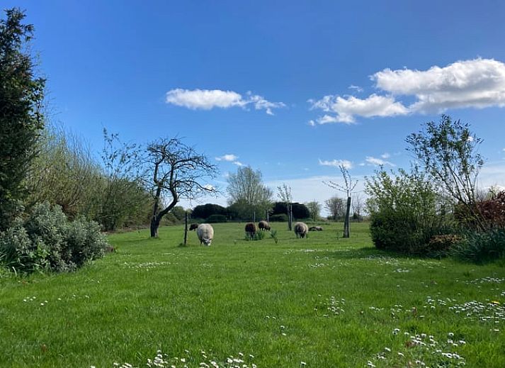 Huisje in Oostkapelle omringd door bomen in Walcheren, Zeeland.