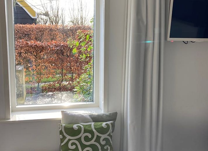 Groene tuin met appelboom bij Huisje in Oostkapelle, Walcheren.