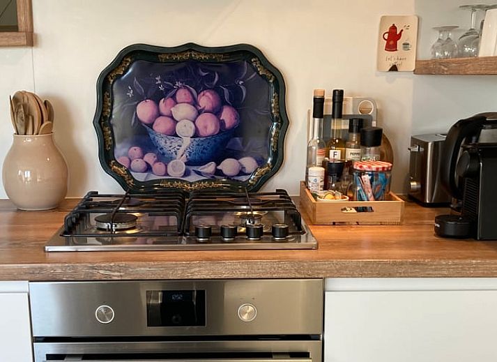 Groene tuin met appelboom bij Huisje in Oostkapelle, Walcheren.