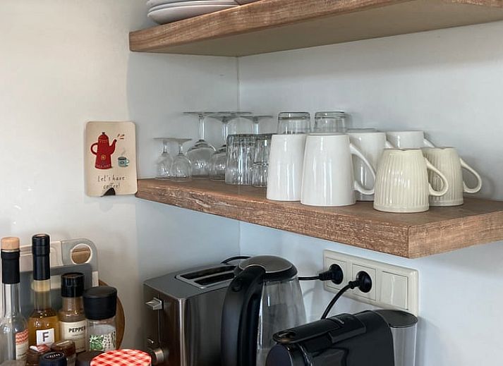 Groene tuin met appelboom bij Huisje in Oostkapelle, Walcheren.