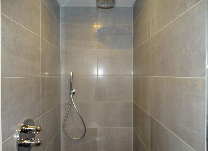 Pferde bei ZE321, Ferienhaus in Oostkapelle, Walcheren, Zeeland.