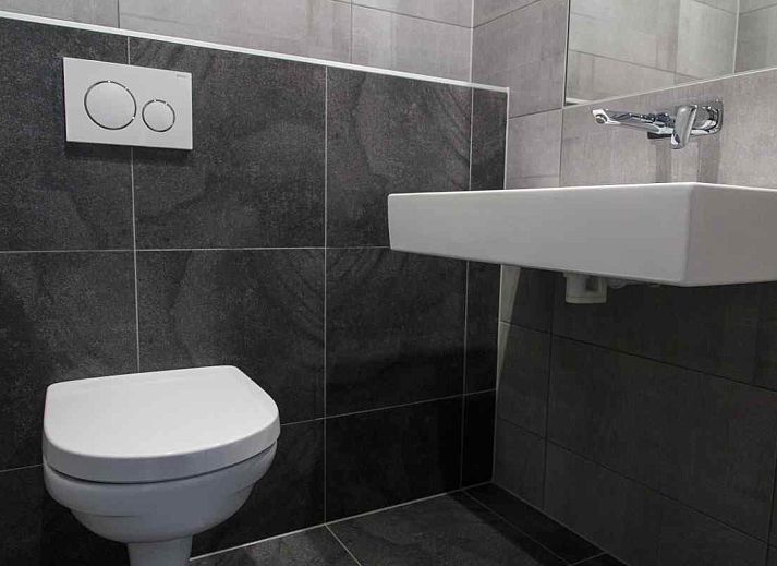 Pferde bei ZE321, Ferienhaus in Oostkapelle, Walcheren, Zeeland.