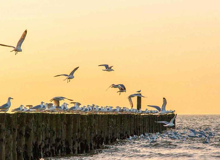 ZE322 vakantiehuis in Oostkapelle op Walcheren, Zeeland met ruime tuin en groene omgeving.