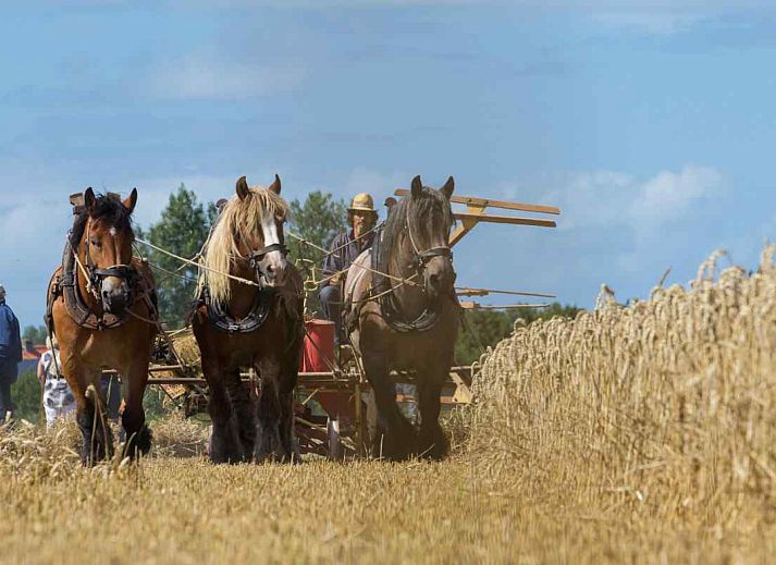 Moderne badkamer in ZE322 vakantiehuis, Oostkapelle, Walcheren, Zeeland met luxe douche.