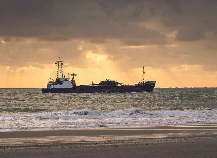 Meeuwen bij zonsondergang aan de kust van Oostkapelle, nabij vakantiehuis ZE322, Walcheren.