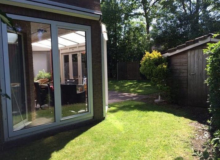 Paarden in de natuur rondom vakantiehuis ZE322 in Oostkapelle, Walcheren, Zeeland.