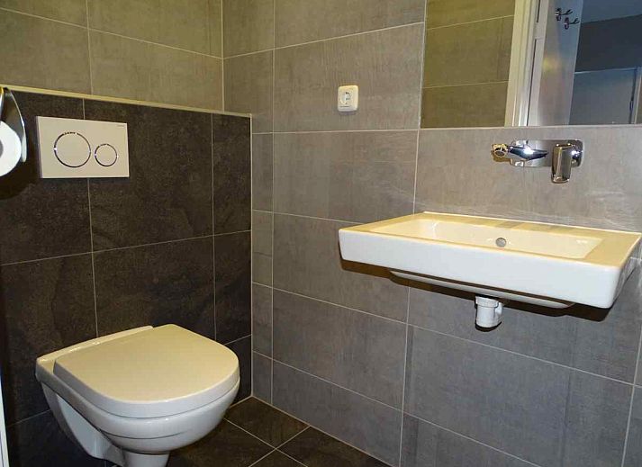 Paarden in de natuur rondom vakantiehuis ZE322 in Oostkapelle, Walcheren, Zeeland.