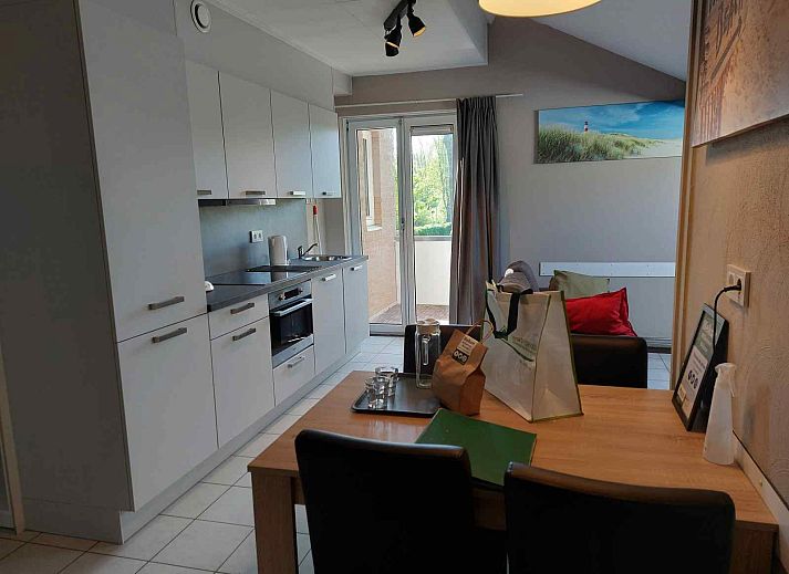 Paarden in de natuur rondom vakantiehuis ZE322 in Oostkapelle, Walcheren, Zeeland.