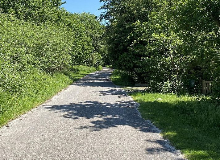 Schaduwrijke tuin van VZ1007 Vakantiebungalow in Oostkapelle, Walcheren, Zeeland.