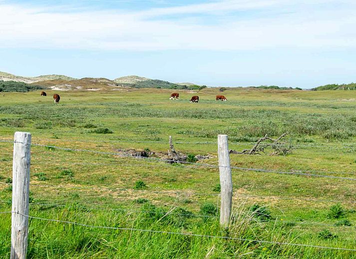 Gemuetliche Sitzecke auf der Terrasse des Ferienhauses ZE1402 in Oostkapelle, Walcheren, Zeeland.