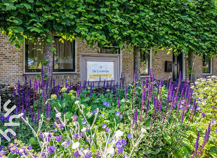 Helles Schlafzimmer im Ferienhaus ZE049, Oostkapelle, Walcheren, Zeeland mit Aussicht.