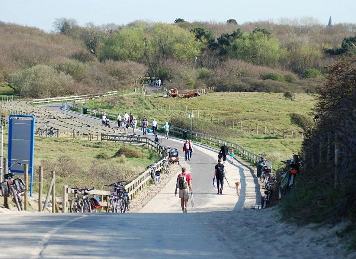 Hoeve Plantlust: Barn left in Oostkapelle biedt een prachtig uitzicht over de velden van Walcheren, Zeeland.
