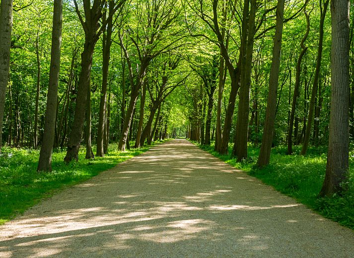 Vakantiehuis ZE1678 in Oostkapelle, Walcheren, met zonnig terras en groene tuin, ideaal voor ontspanning in de natuur van Zeeland.