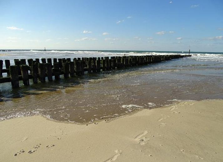 Ferienhaus ZE069 in Oostkapelle mit bluehenden Baeumen und gruener Umgebung in Zeeland.