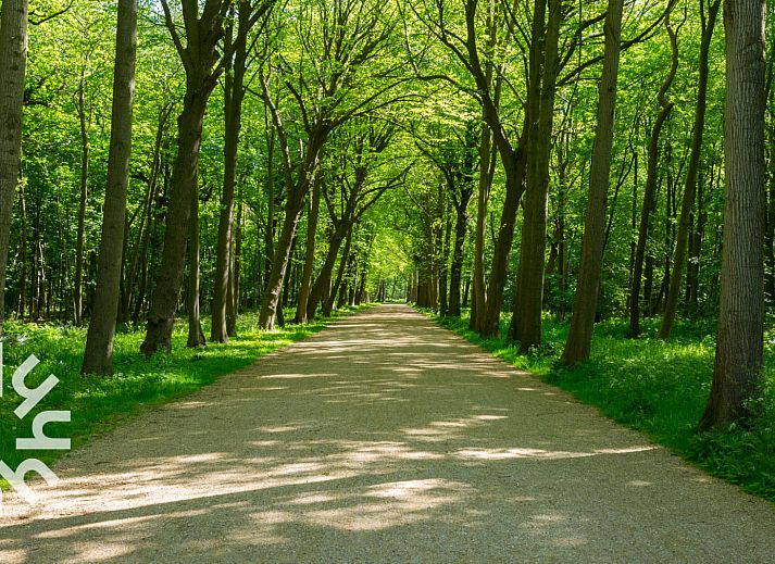 Entspannen Sie sich im luxurioesen Whirlpool des Ferienhauses ZE1681, das im malerischen Oostkapelle in Walcheren, Zeeland, liegt.