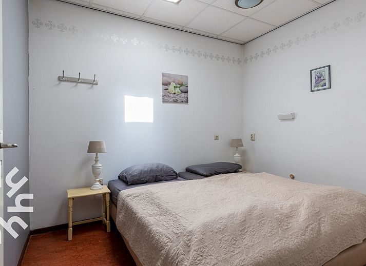 Paarden in de wei bij vakantiehuis ZE187, Oostkapelle, Walcheren, perfecte landelijke setting.