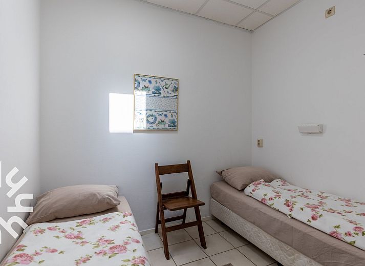 Paarden in de wei bij vakantiehuis ZE187, Oostkapelle, Walcheren, perfecte landelijke setting.