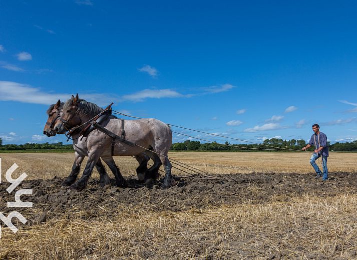 Geraeumige Halle des Ferienhauses ZE624 in Oostkapelle, Walcheren, Zeeland.