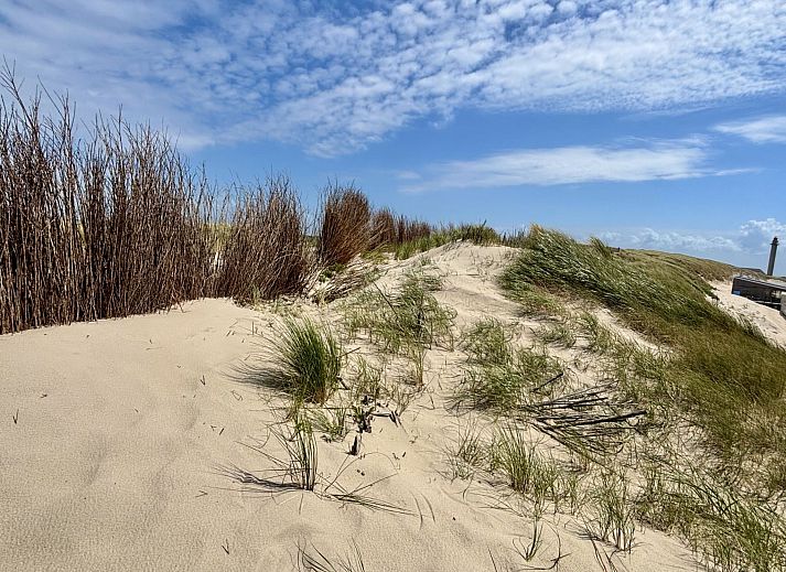 Verblijf 620309 - Appartement Walcheren - Appartement Gemütliche Ferienwohnung Westkapelle mit Terras