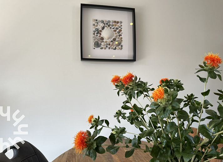 Unterkunft 620310 - Ferienhaus Walcheren - ZE730