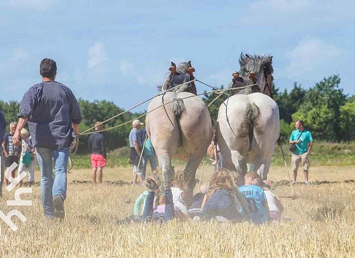 Modernes Aeusseres des Ferienhauses ZE732 in Westkapelle, Walcheren, Zeeland mit Terrasse.