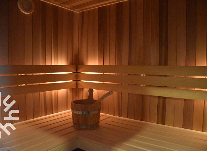 Gemuetliche Umgebung von ZE732 in Westkapelle, Walcheren, Zeeland mit Pferden und Natur.