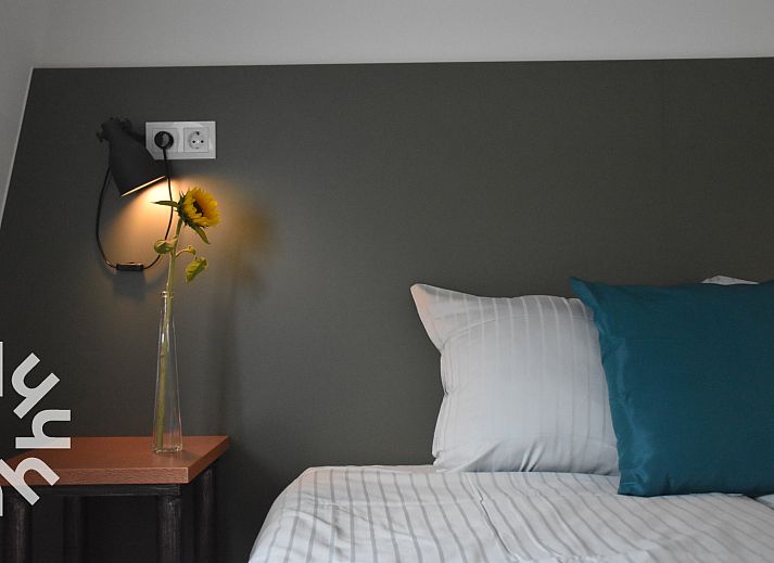 Stilvolles Wohnzimmer im Ferienhaus ZE732 in Westkapelle, Walcheren, Zeeland mit Pflanzen.