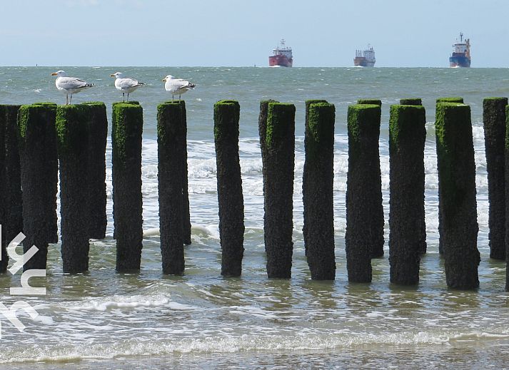 Moderne douche in vakantiehuis ZE926, Westkapelle, Walcheren.