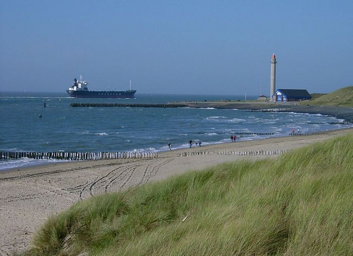 Unterkunft 620330 - Appartement Walcheren - Appartement Luxuriöses Studio für 2 Personen de Zuus