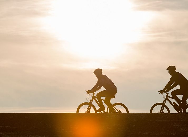 Guest house 620343 - Holiday property Walcheren - ZE1411