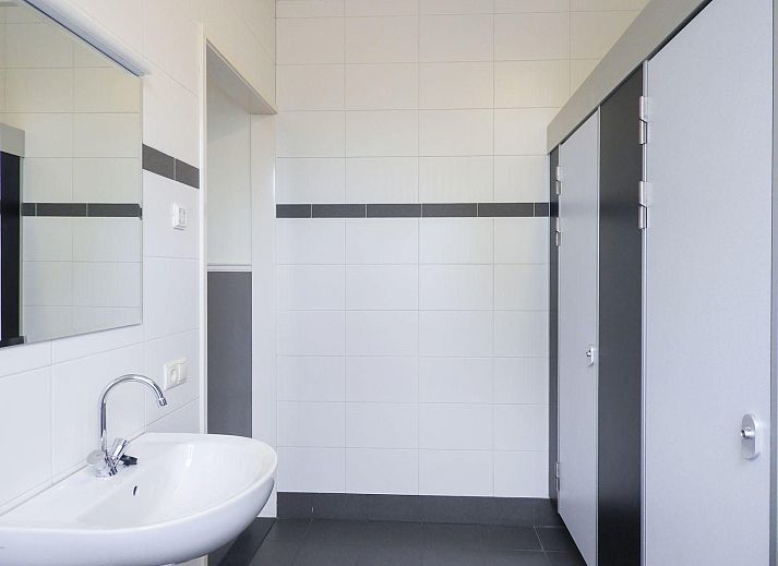 VZ131 Group accommodation Westkapelle, vacation home in Zeeland with natural surroundings and tall trees.