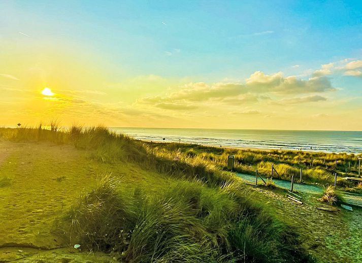 Sonnige Terrasse des Ferienhauses Beach House Westkapelle 103 C, Westkapelle, Walcheren, Zeeland.