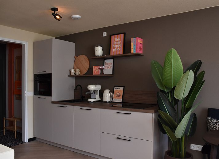 Unterkunft 6204131 - Ferienhaus Walcheren - ZE1725