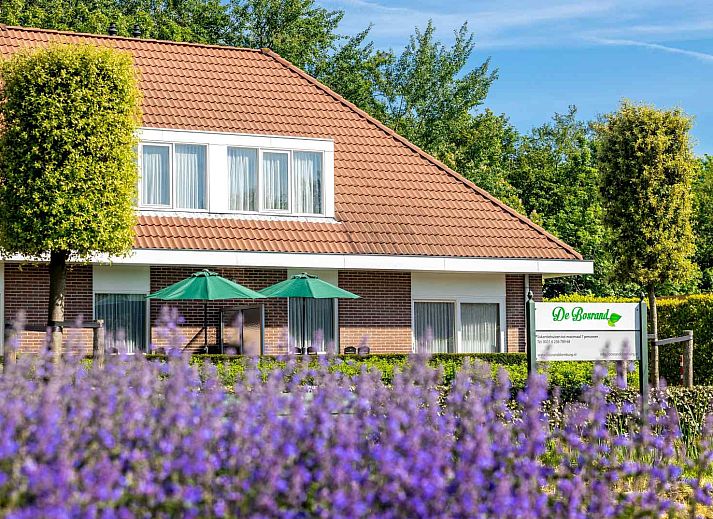 ZE014 vakantiehuis in Domburg, Walcheren met prachtige tuin en terras, ideaal voor ontspanning in Zeeland.