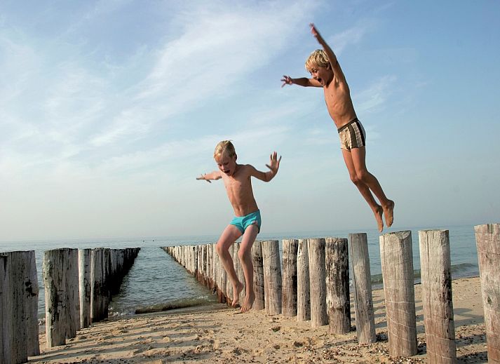 Guest house 6204187 - Chalet Walcheren - Vakantiepark Hof Domburg 22