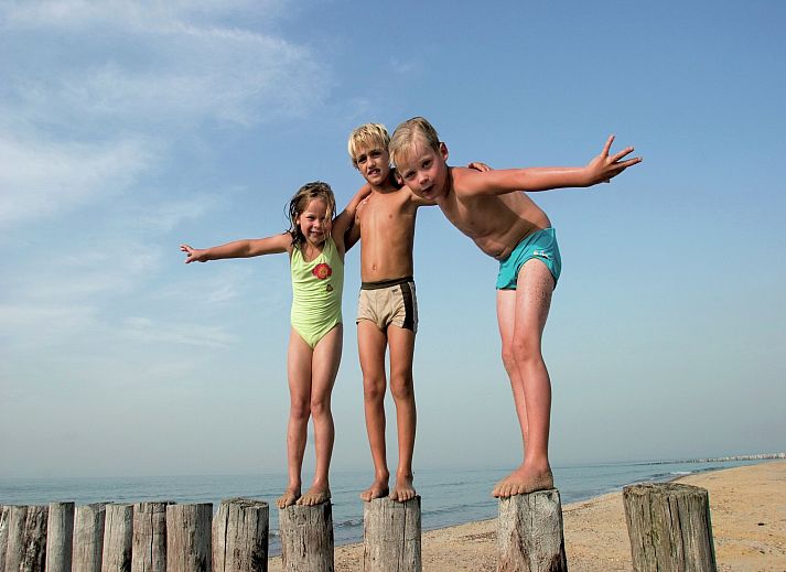 Guest house 6204187 - Chalet Walcheren - Vakantiepark Hof Domburg 22
