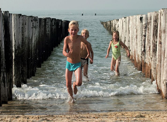 Guest house 6204187 - Chalet Walcheren - Vakantiepark Hof Domburg 22