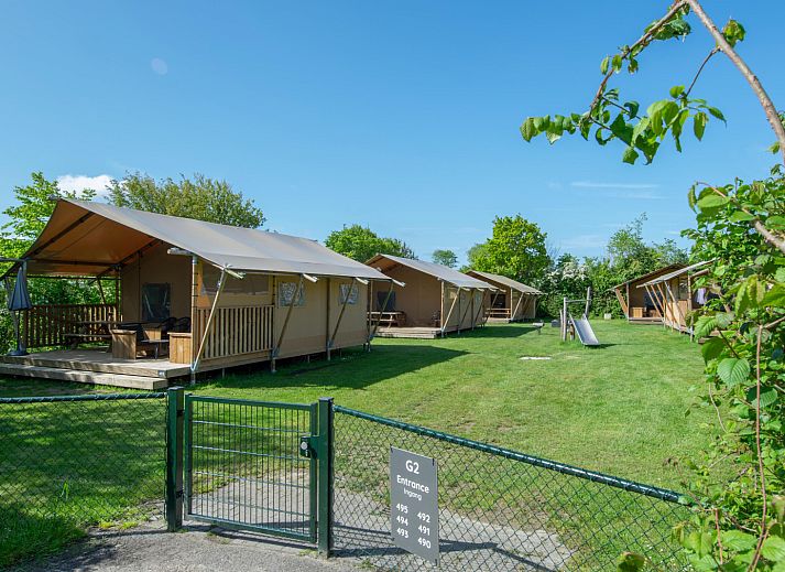 Unterkunft 6204203 - Zelthaus Walcheren - Safaritent 5K