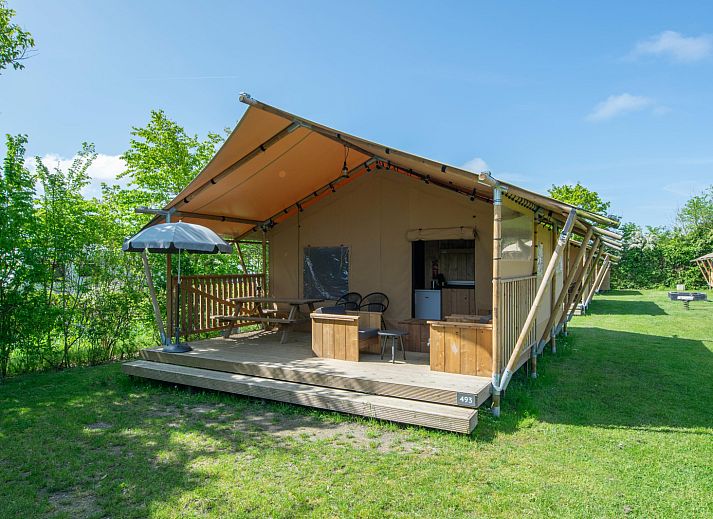Unterkunft 6204204 - Zelthaus Walcheren - Safaritent 4B