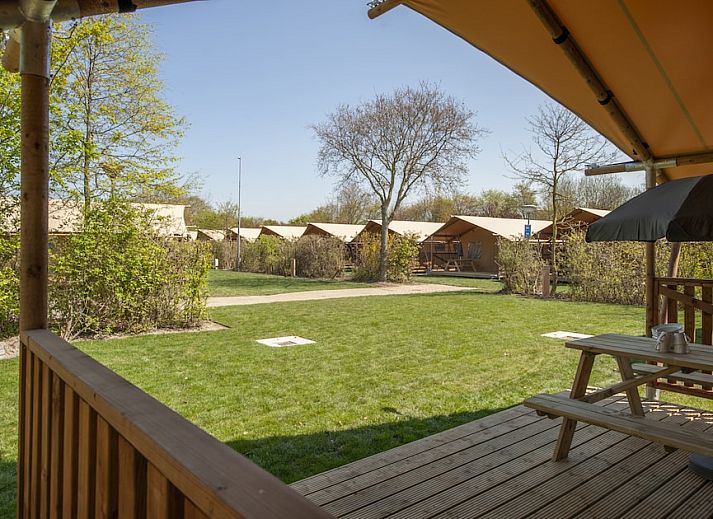 Veranda von Safaritent 6, einer Glamping-Lodge in Domburg, Walcheren. Geniessen Sie die Natur in Zeeland.