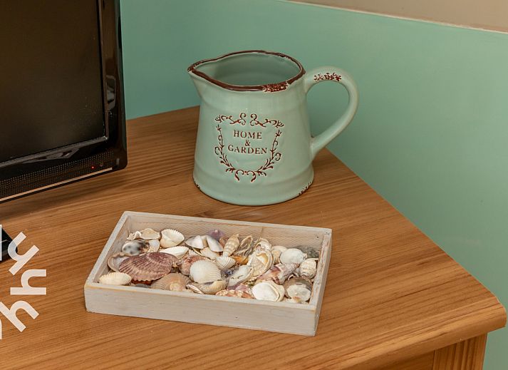 Gezellig terras van vakantiehuis ZE1594 in Domburg, Walcheren, Zeeland met groene planten en eettafel.