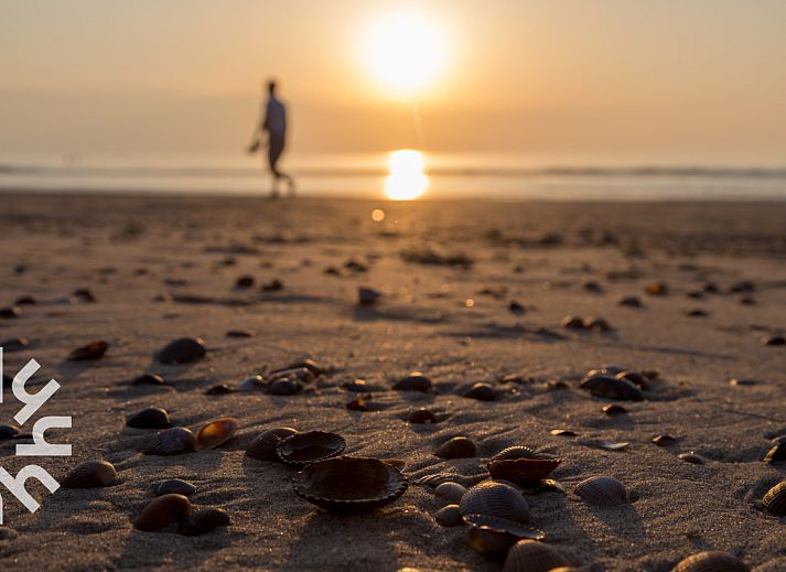 Lichte woonkamer van vakantiehuis ZE1594 in Domburg, Walcheren, Zeeland met uitzicht op het terras.
