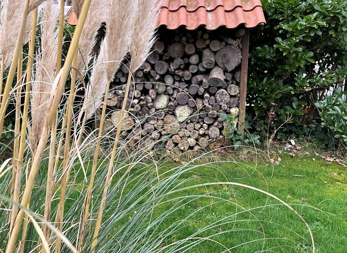 Verblijf 620503 - Bungalow Walcheren - Dishoek 6a
