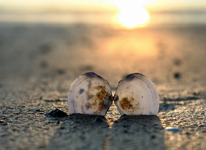 Westduin 4 vakantiehuis in Vlissingen, ruime zitkamer met stijlvolle meubels, Walcheren, Zeeland.